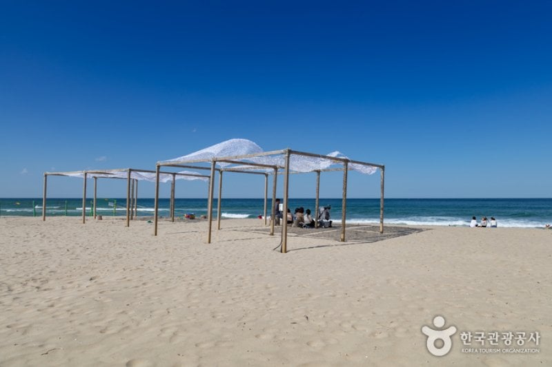 Yangyang Surfyy Beach, surfing  (3/20)
