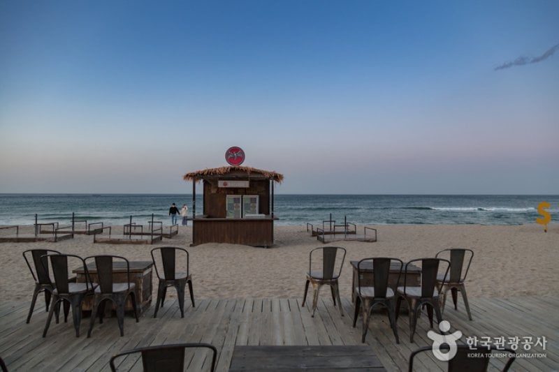 Yangyang Surfyy Beach, surfing  (7/20)