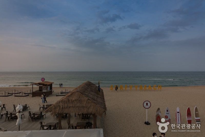 Yangyang Surfyy Beach, surfing  (10/20)
