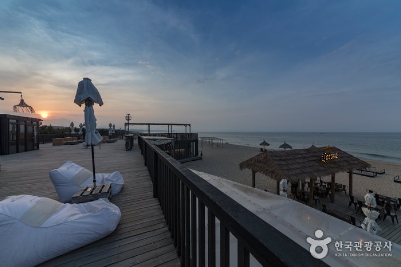 Yangyang Surfyy Beach, surfing  (11/20)