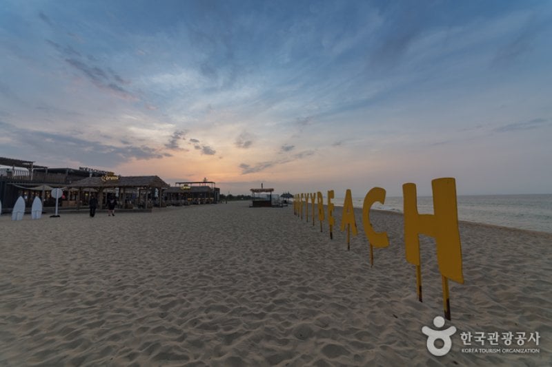 Yangyang Surfyy Beach, surfing  (12/20)