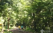 Seogwipo Healing Forest