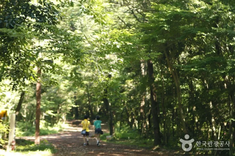 Seogwipo Healing Forest (1/5)