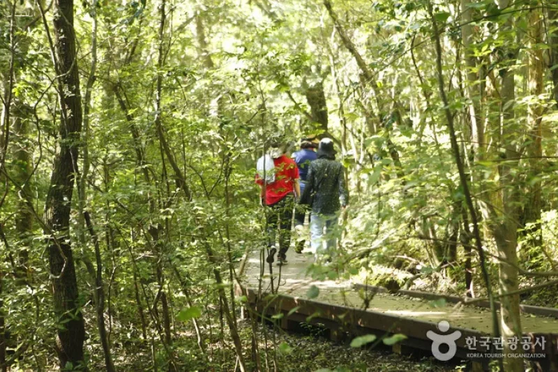 Seogwipo Healing Forest (3/5)