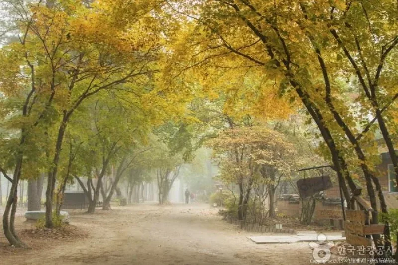 Jeong Gwan Ru  (15/17)