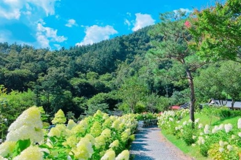 Soyang Hanok Stay[Korea Quality] / 소양고택 한옥스테이 [한국관광 품질인증] (2/5)