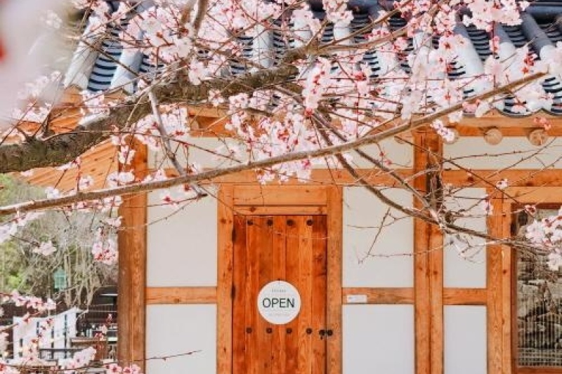 Soyang Hanok Stay[Korea Quality] / 소양고택 한옥스테이 [한국관광 품질인증] (5/5)
