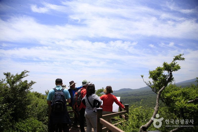 Saryeoni Forest Trail  (8/15)