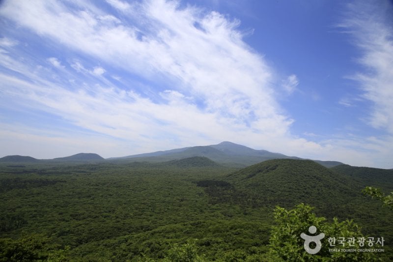 Saryeoni Forest Trail  (9/15)