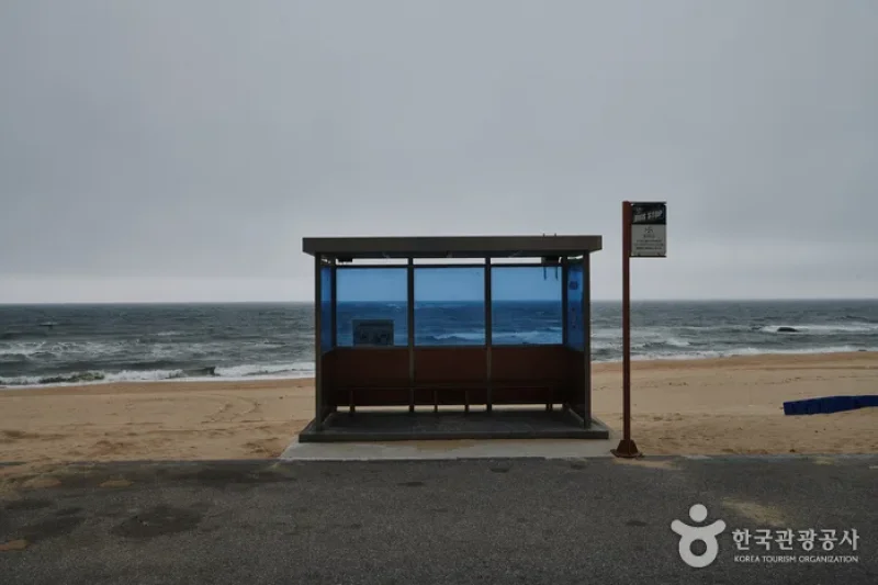 Hyangho Beach  (2/3)