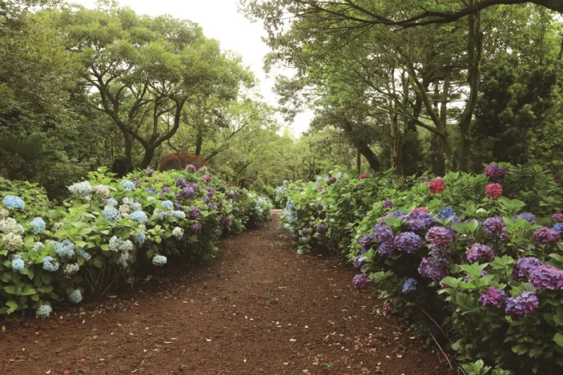 Snoopy Garden  (8/8)
