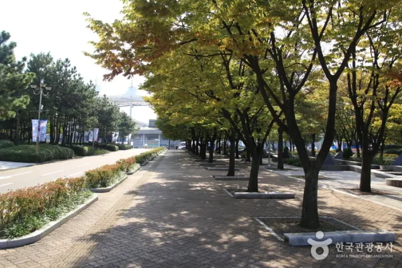 Incheon Munhak Sports Complex (Incheon Worldcup Stadium) (6/10)