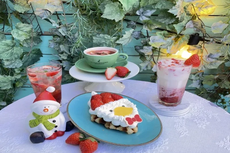 79 Foundyard Songpa Heliocity Branch *The best hotspot café recommended by top influencers (19/41)