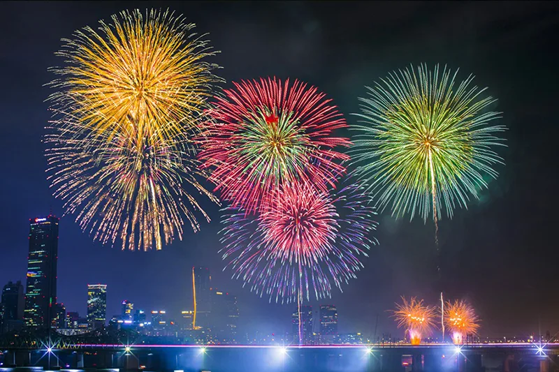 BTS 10th Anniversary: Hangang River Fireworks, Korean BBQ &amp; N Seoul Tower Tour (5/9)