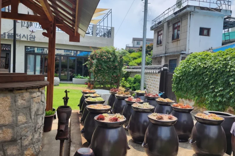 Sochang Experience Center Ganghwa-Do (6/32)