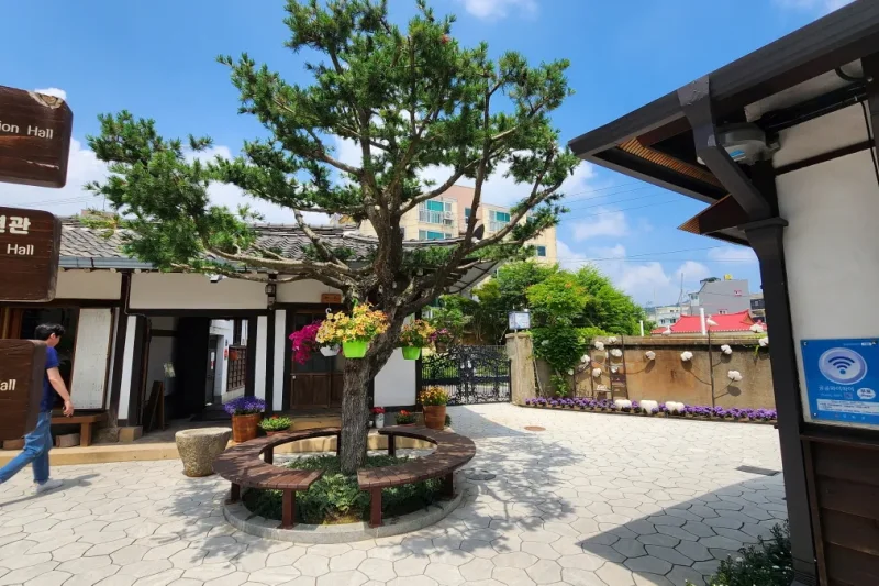 Sochang Experience Center Ganghwa-Do (16/32)