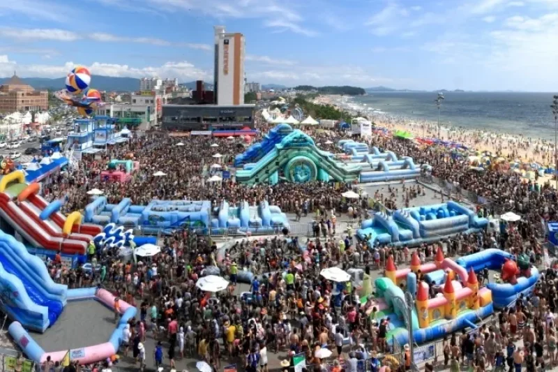 【Instant confirmation】Boryeong Mud Festival 2024, K-pop Concert Ticket + Shuttle Bus Package  (3/13)