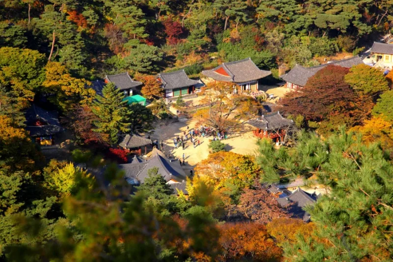 Experience the ‘1883 Incheon Global Stamp Tour’ With All Five Senses (10/37)