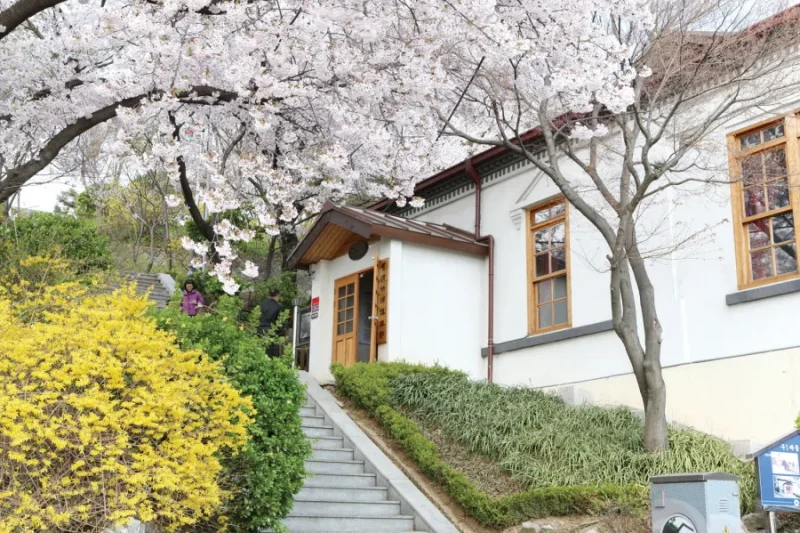 Experience the ‘1883 Incheon Global Stamp Tour’ With All Five Senses (27/37)