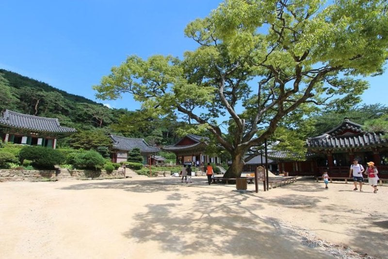 Jeondeungsa Temple: A Tranquil Retreat Steeped in History (3/6)