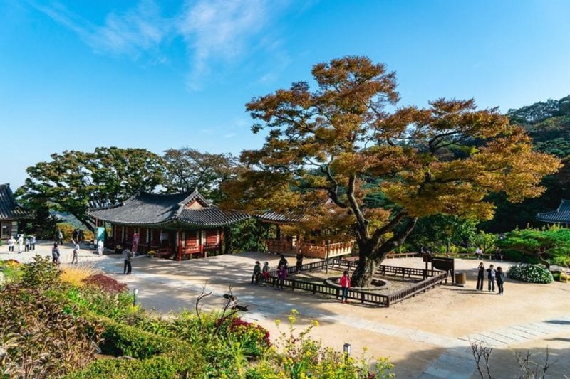 Jeondeungsa Temple: A Tranquil Retreat Steeped in History (4/6)