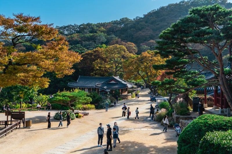 Jeondeungsa Temple: A Tranquil Retreat Steeped in History (5/6)