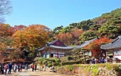 Jeondeungsa Temple: A Tranquil Retreat Steeped in History