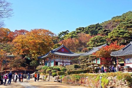 Jeondeungsa Temple: A Tranquil Retreat Steeped in History