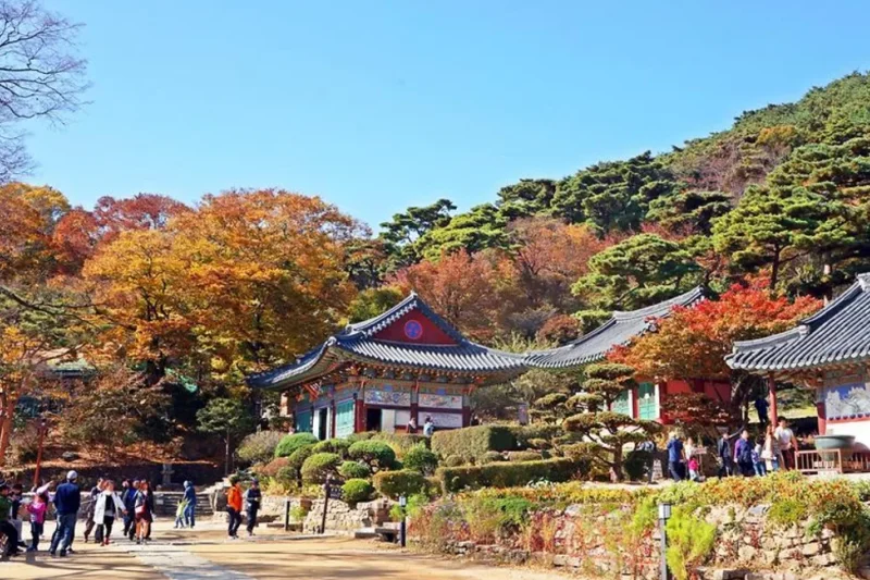 Jeondeungsa Temple: A Tranquil Retreat Steeped in History (6/6)