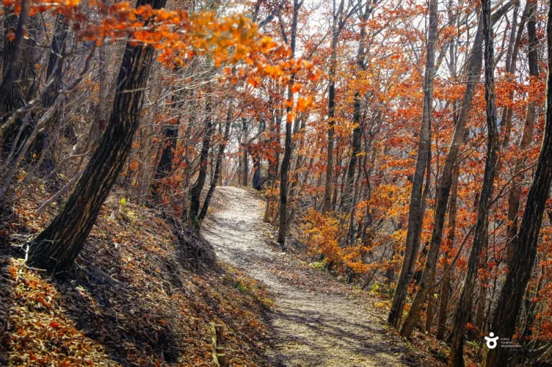 High1 Resort : Gangwon-do (4/7)