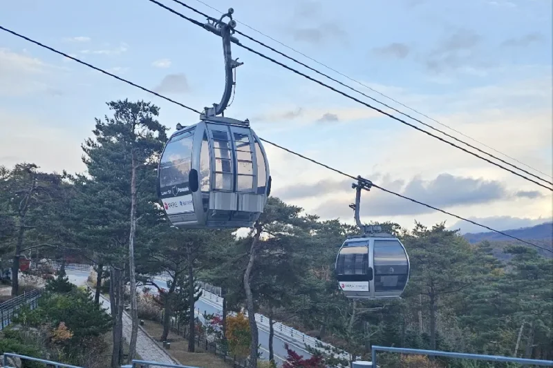 High1 Resort : Gangwon-do (5/7)