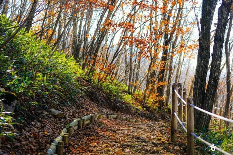 High1 Resort : Gangwon-do (7/7)