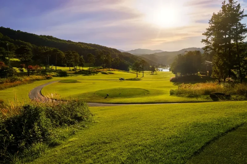 Oak Valley: Gangwon-do (1/20)