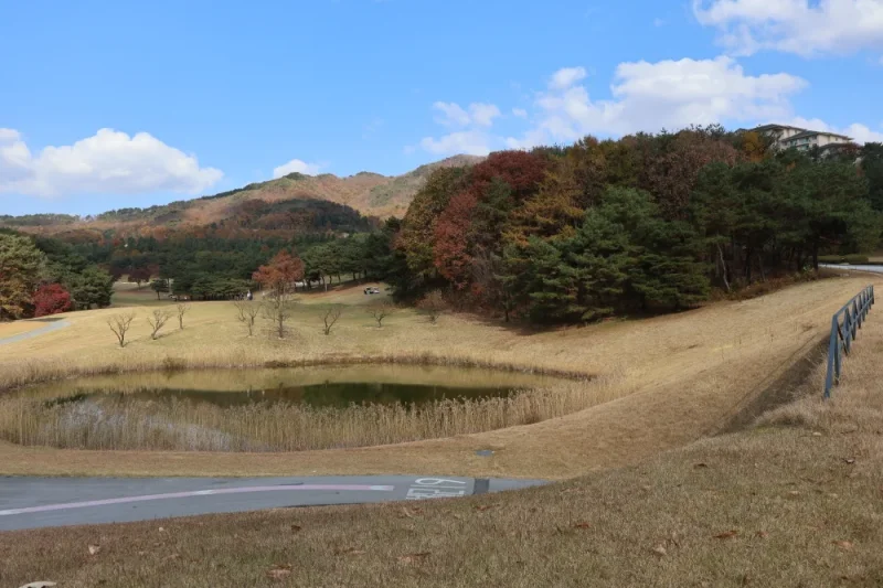 Oak Valley: Gangwon-do (7/20)