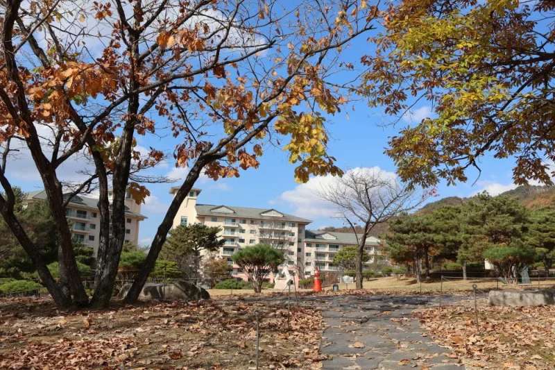 Oak Valley: Gangwon-do (14/20)