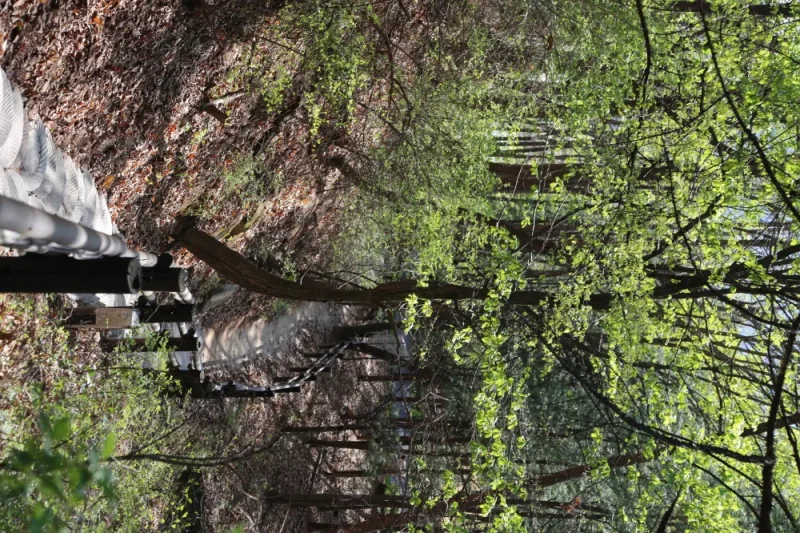 Oak Valley: Gangwon-do (15/20)