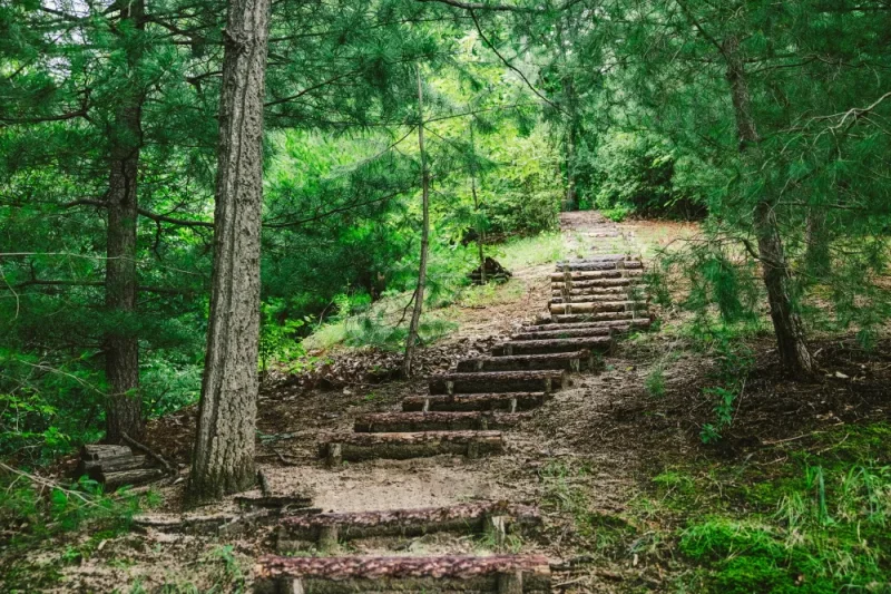 Oak Valley: Gangwon-do (19/20)