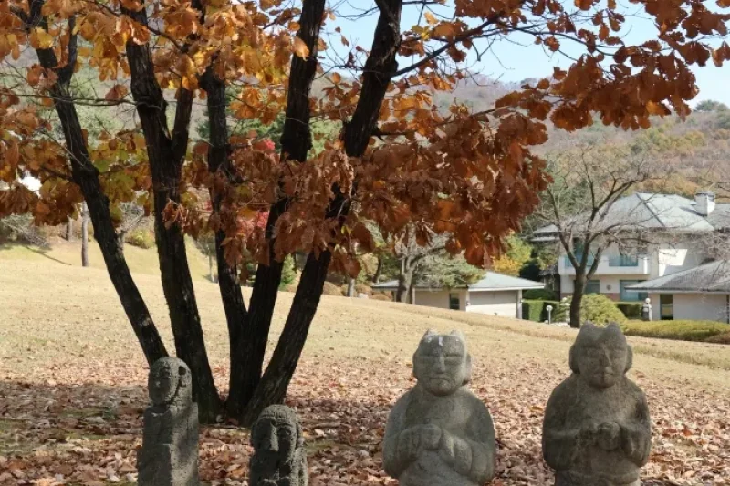 Oak Valley: Gangwon-do (20/20)