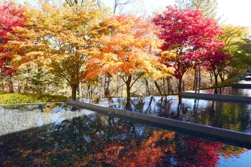Museum SAN: Gangwon-do (6/7)