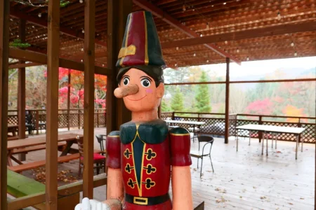 Pinocchio Forest: Gangwon-do