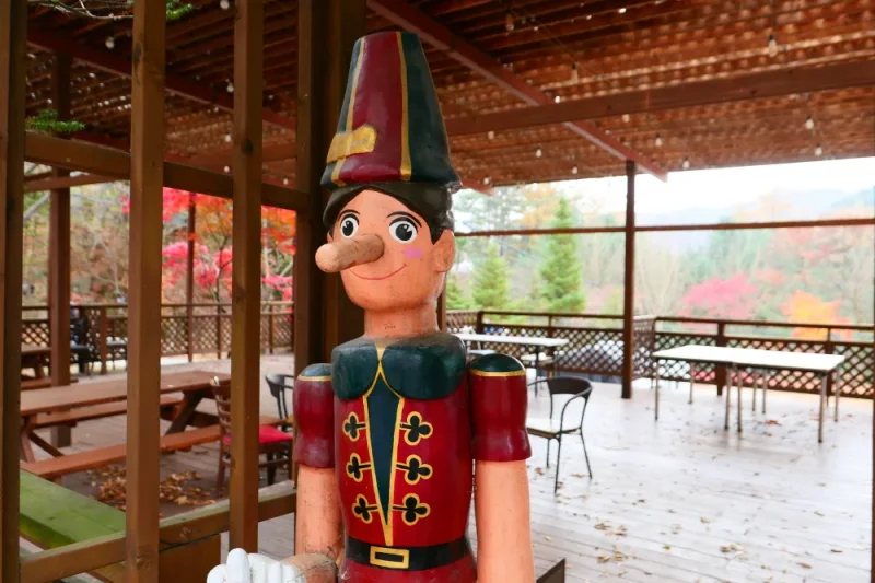 Pinocchio Forest: Gangwon-do (1/23)