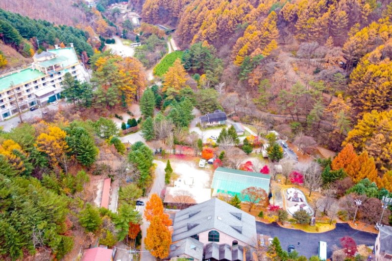 Pinocchio Forest: Gangwon-do (5/23)