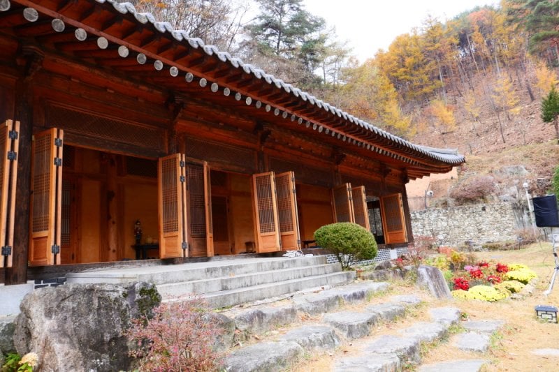 Pinocchio Forest: Gangwon-do (6/23)