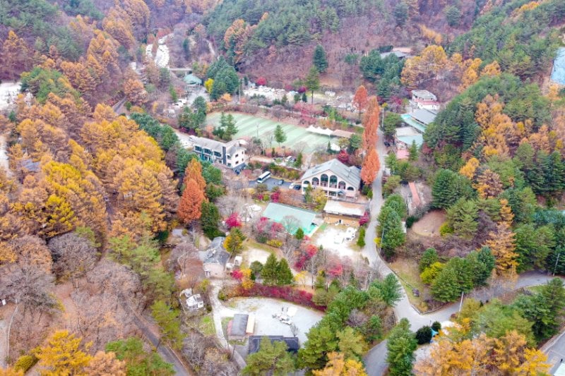 Pinocchio Forest: Gangwon-do (7/23)
