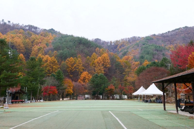 Pinocchio Forest: Gangwon-do (9/23)