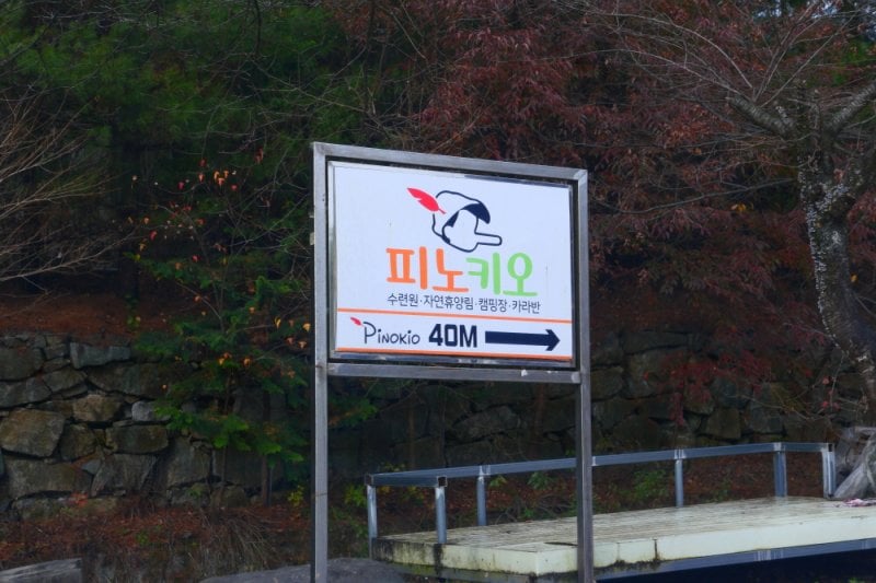 Pinocchio Forest: Gangwon-do (10/23)