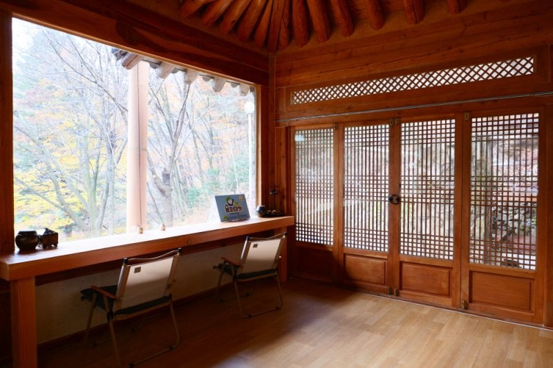 Pinocchio Forest: Gangwon-do (11/23)