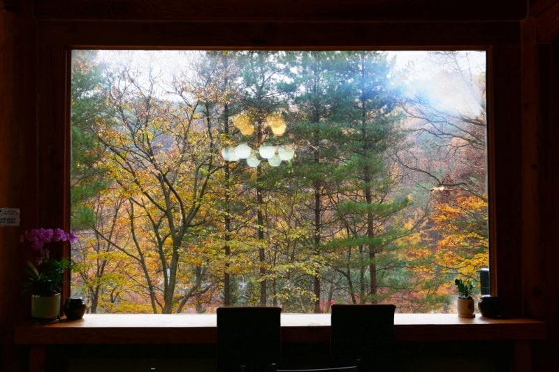 Pinocchio Forest: Gangwon-do (13/23)