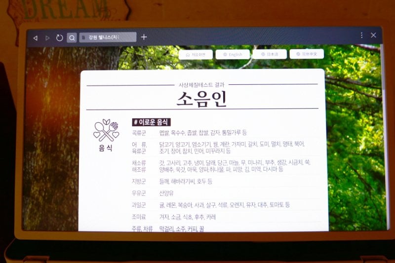 Pinocchio Forest: Gangwon-do (14/23)