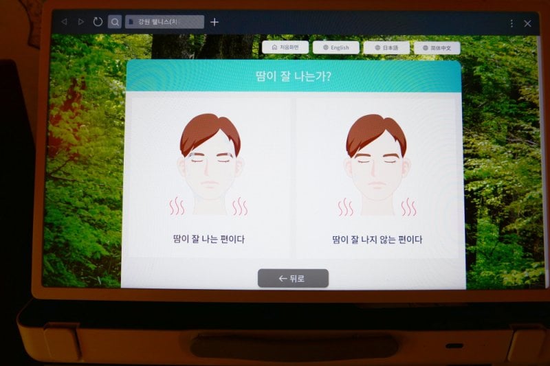 Pinocchio Forest: Gangwon-do (15/23)